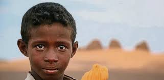 L'últim desert lliure