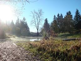 See tripadvisor's 5,253 traveller reviews and photos of marysville tourist attractions. Attractions Marysville Wa Official Website