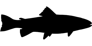 Bass fish with template club emblem. 100 Best Fishing Svg Ideas Fishing Svg Svg Fishing Decals