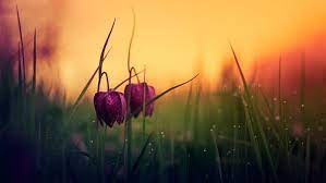 Aug 07, 2021 · salat tahajud, lengkap niat dan bacaan doanya, waktu mustajab memohon hajat jumat, 30 juli 2021 19:36 sholat tahajud merupakan waktu mustajab untuk memunajdkan doa dan amalan orang saleh Bolehkah Menggabungkan Puasa Sunnah Dan Qodho Puasa Rumaysho Com