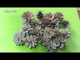 Tannenzapfen Selber Bleichen Weissen Neue Trends Youtube Tannenzapfen Zapfchen Neue Trends