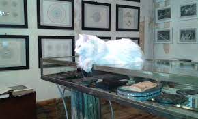 Il termine lonza, ai tempi di dante alighieri, indicava un felino, presumibilmente la lince. Credevo Fosse Un Gatto Invece Era Una Lonza Galleria Baroni
