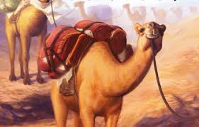 Caravan is the brand new pick up and deliver board game from rio grande games. Direct Desert Deliveries In Caravan Ontabletop Home Of Beasts Of War