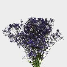 Purple filler flowers for bouquets. Purple Flowers Wholesale Bulk Flowers Blooms By The Box