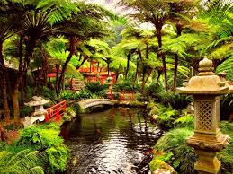 Check spelling or type a new query. Japanese Tea Garden Wallpapers Top Free Japanese Tea Garden Backgrounds Wallpaperaccess
