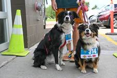 0.5K Dog Walking Dead Challenge