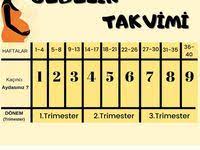 bebeklerde pisik yapan yiyecekler bebek oyun hamilelik bebek