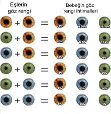Eslerin Goz Rengine Gore Bebeklerin Goz Rengi Nasil Olabilir Biliyor Musunuz Kizlarsoruyor