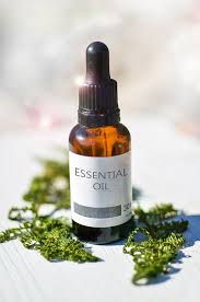 Does Eucalyptus Oil Kill Dust Mites
