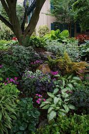 Sumptuous Shady Corner 2 Shade Landscaping Shade Garden Shade Garden Plants