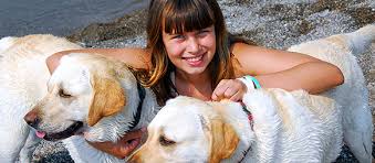 Microchip lookup for owner contact information. Animark