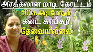 Within this space, one can grow a dozen vegetables, about five different flowers and the same number of medicinal plants. Agriculture And Organic Farming High Yielding Organic Terrace Garden At Chennai Youtube