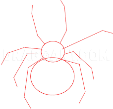 How to draw indominus rex from jurassic park. How To Draw A Black Widow Step By Step Drawing Guide By Dawn Dragoart Com