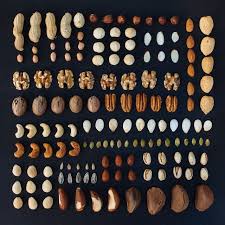 Emily Blincoe Photography Fruits Secs Art Comestible Fruits