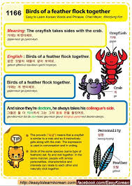 Birds Of The Same Feather Flock Together 1166 Birds Of A Feather Flock Together In 2020 Learn Korean Korean Words Learning Korean Words