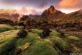 Pin On Landscape Nature Photography