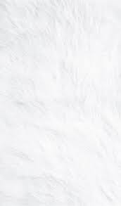 Check out this fantastic collection of windows lock screen wallpapers, with 34 windows lock screen background images for your desktop, phone or a collection of the top 34 windows lock screen wallpapers and backgrounds available for download for free. Trendy Plain White Screen Wallpapers Ideas White Background Wallpaper White Wallpaper For Iphone White Background Plain