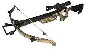 Horton, Model Hd175, Team Realtree Crossbow | Proxibid