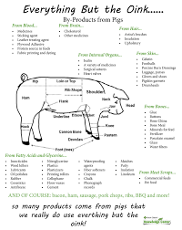 Everything But The Oink Agriculture Education Livestock Judging Ag Teacher