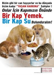 Bir Kap Yemek Bir Kap Su Hayvan Sozleri Hayvan Haklari Hayvan
