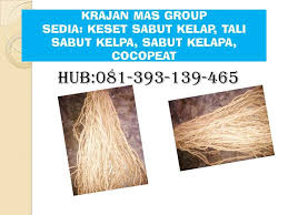 Yuk jual & beli keset sabut kelapa online dengan daftar harga terbaru may 2021. 12 Ide Keset Sabut Kelapa Jakarta Sabut Kelapa Surabaya