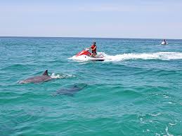 Do you need insurance for a jet ski in florida. Destin Waverunner Dolphin Tours Guided Jet Ski Dolphin Experience