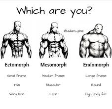 Fitness Bodubuilding Fitgirls Fitboys Muscles Gym Nopainnogain Fashionmodels Celebrities Exercises Ectomorph Workout Mens Body Types Body Types Chart