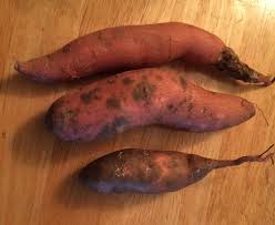 Sweet potatoes are a staple food in many parts of the world. Sweet Potatoes Looking Spotty Eat Or Toss