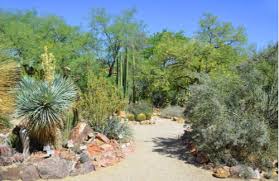 All kinds of products can be found at desert botanical garden, where you can order quickly and easily. Charter Bus Rentals To The Desert Botanical Gardens National Charter Bus