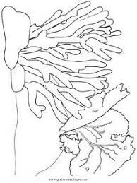 Fische zeichnen korallen ausmalen niedlich zeichnung für kinder kunst für kinder malbücher malvorlagen. Koralle 14 Gratis Malvorlage In Fische Tiere Ausmalen