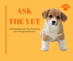 Foster's mobile pet clinic offers you convenient, high quality, and affordable home veterinary care for your beloved dog and cat. Mobile Vet