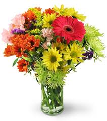 My favorites (0) cart 0 (0) favorites. Flower Festival West Palm Beach Fl Florist