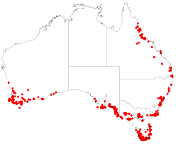 Image result for Tetraria