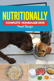 Too often, people think that they're feeding healthy homemade dog food, when key. Recipe Nutritionally Complete Homemade Dog Food Meal