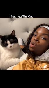 Nutmeg Cat Boyfriend