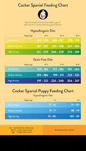 71 most popular cocker spaniel weight chart