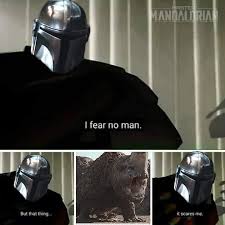 Anybody Here Tired Of Mandalorian And Baby Yoda Memes And Want Me To Post More Prequel Original Trilogy And Ultimate Star Wars Star Wars Jokes Star Wars Humor