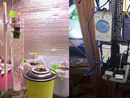 diy hydroponic system for beginners
