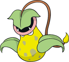 Pokemon Bird With Big Mouth 71 Victreebel Pokemon Pokemon Pokedex Plant Pokemon