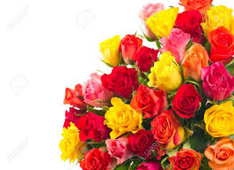 Check spelling or type a new query. Close Up Of Colorful Assorted Roses On White Background Bouquet Stock Photo Picture And Royalty Free Image Image 21104962
