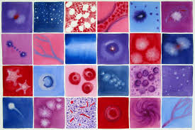 Cancer Cells Painted In Watercolors As Stars