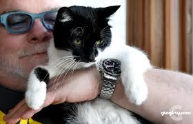 GLOGIRLY: March 2020