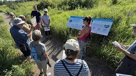 St. Louis Park: The Great Swamp and Skunk Hollow Walking Tour