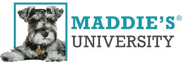 Pathways home animal rescue helps reunite lost pets with their owners but also rescues dogs from the county shelters to keep them from being euthanized. Maddie S Fund Care Pathways Guiding Animals Through The Shelter