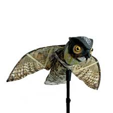 Bird X Prowler Owl Kus Kovucu Maket Baykus