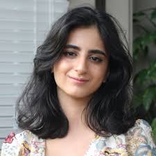 Introducing MindGrab: A Fast and Private Brain Extraction Model