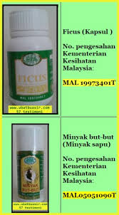 Khasiat manjakani untuk kecantikan yang keenam, meremajakan wajah. Ubat Tradisional Buasir 57 Testimoni Cara Mengatasi Buasir Yang Berkesan Tips Kesihatan Maklumat Penyakit