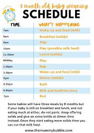 The Best 8 Month Old Baby Schedule - The Mummy Bubble