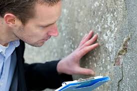 Laudo e Vistoria Cautelar de Vizinhança