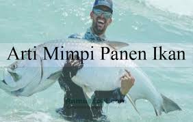 Kemudian berusaha mencari tahu artinya melalui internet dan tanpa sengaja menemukan situs ini. 12 Arti Mimpi Panen Ikan Menurut Islam Dan Primbon